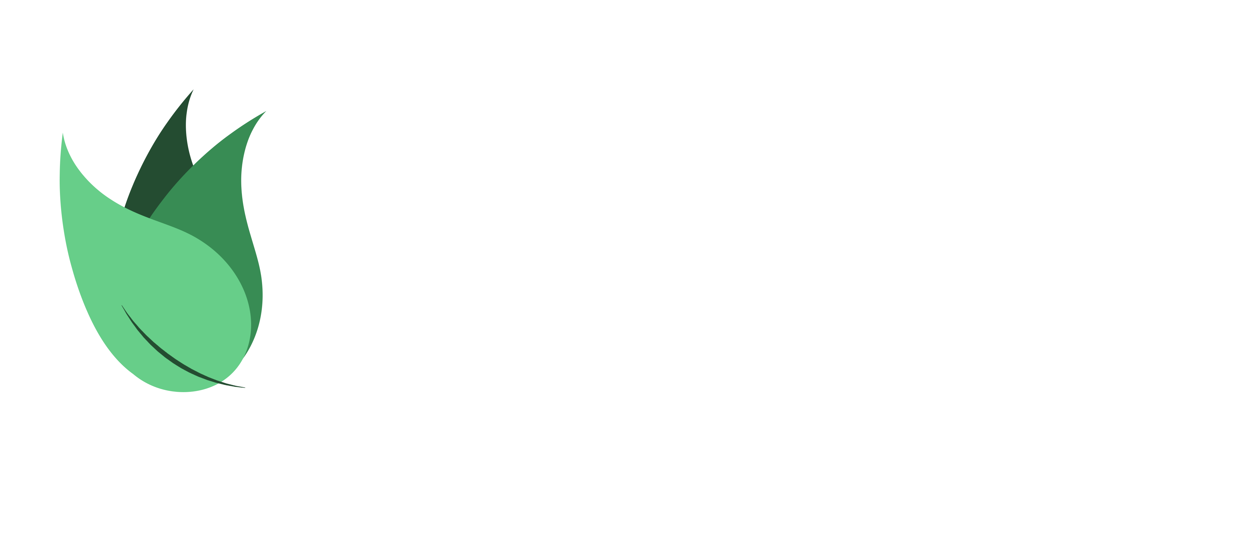 true earth health